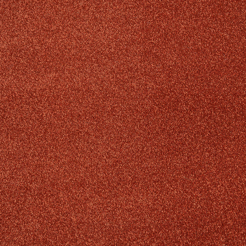 Terracotta Stainfree Caress Carpet by Abingdon