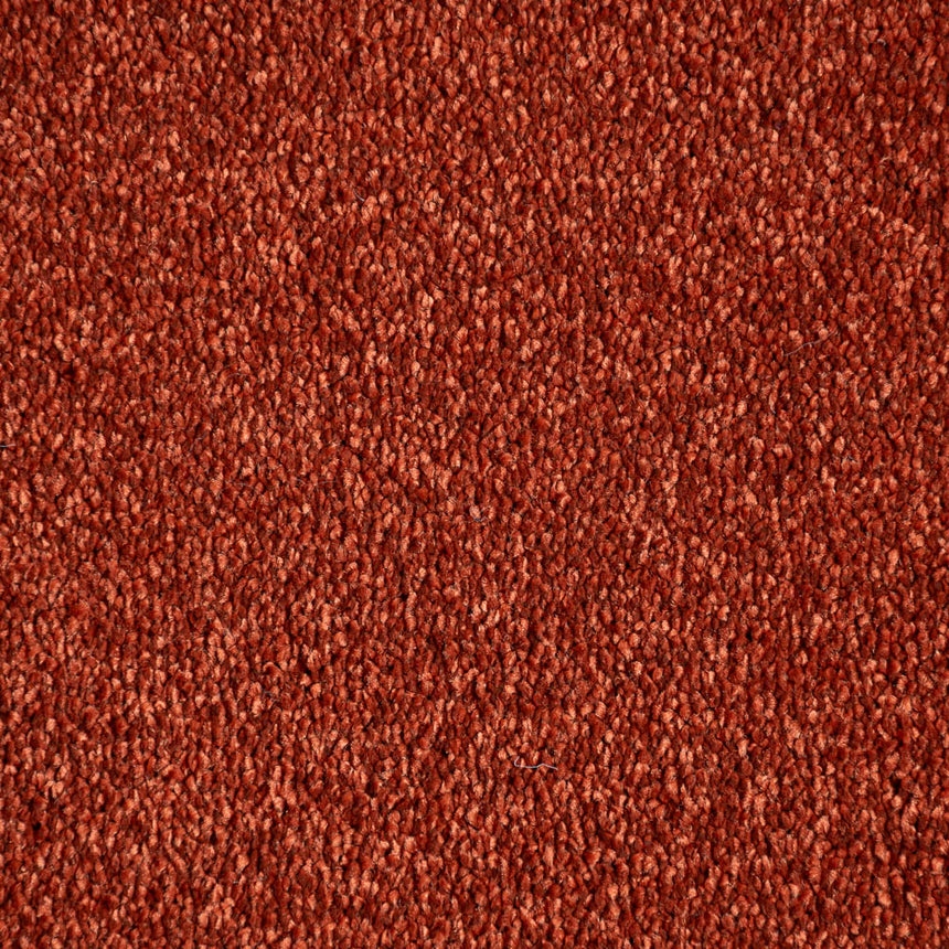 Terracotta Stainfree Caress Carpet by Abingdon