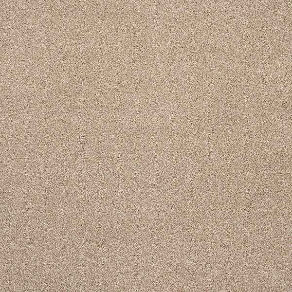 Thatched Roof 05 Stainfree Rustique Saxony Carpet | Online Carpets