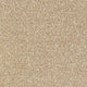 Thatched Roof 05