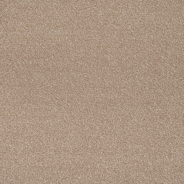 Thatched Roof Stainfree Rustique Ultra Carpet by Abingdon