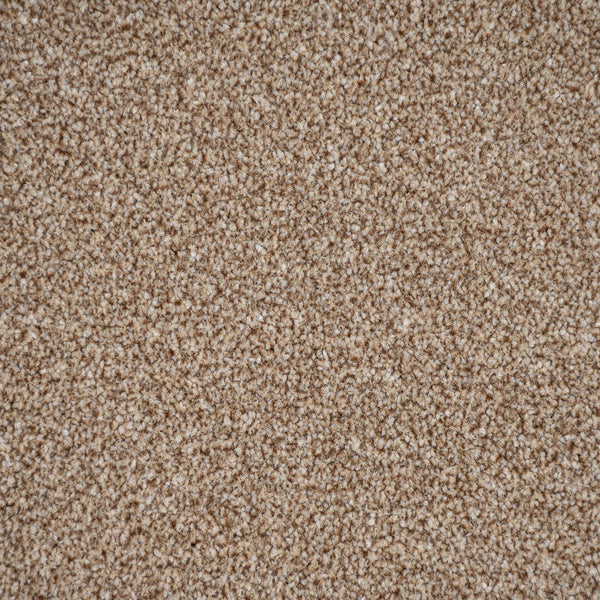 Thatched Roof Stainfree Rustique Ultra Carpet | Online Carpets