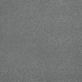 Titanium Stainfree Caress Carpet by Abingdon