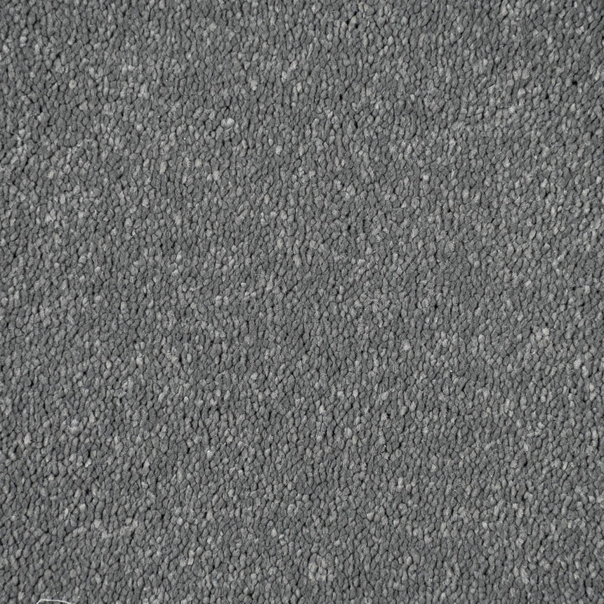 Titanium Stainfree Caress Carpet by Abingdon