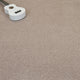 Toasted Almond Pembroke Twist Carpet