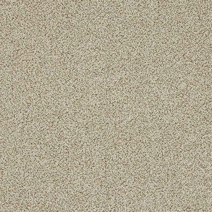 Stainfree Knightsbridge Berber Carpet by Abingdon