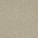 Stainfree Knightsbridge Berber Carpet by Abingdon