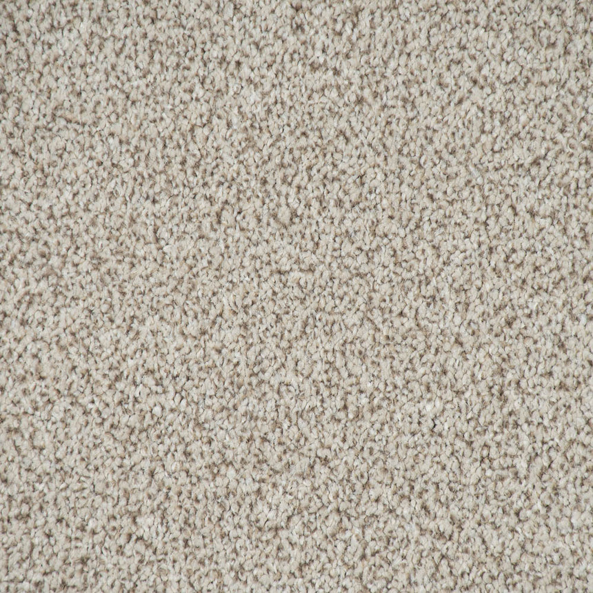 Toasted Oak Stainfree Knightsbridge Berber Carpet by Abingdon