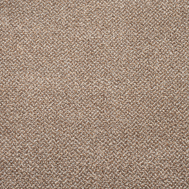 Treviot 42 Stainaway Tweed Carpet
