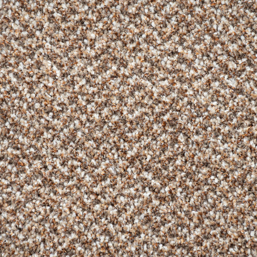 Treviot 42 Stainaway Tweed Carpet