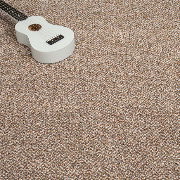 Treviot 42 Stainaway Tweed Carpet