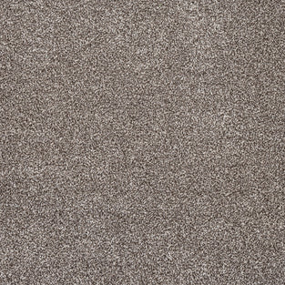 Truffle Florence Saxony Carpet