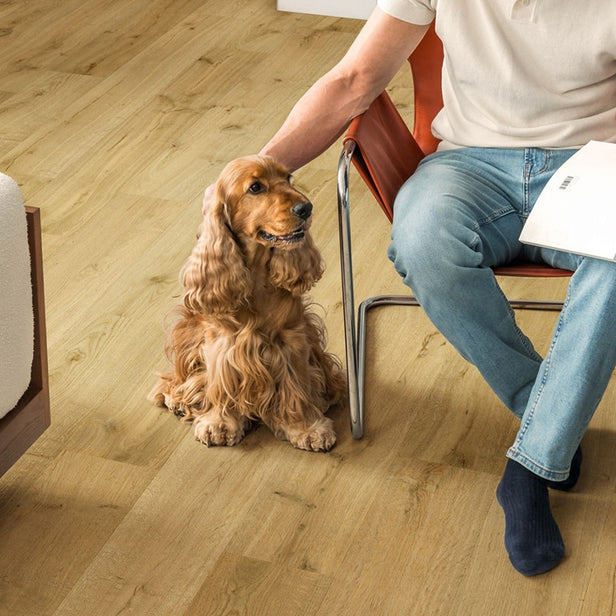 Truffle Oak IM8256 Impressive 8mm Laminate Flooring by Quick-Step