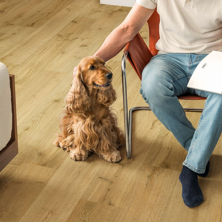 Truffle Oak IM8256 Impressive 8mm Laminate Flooring by Quick-Step
