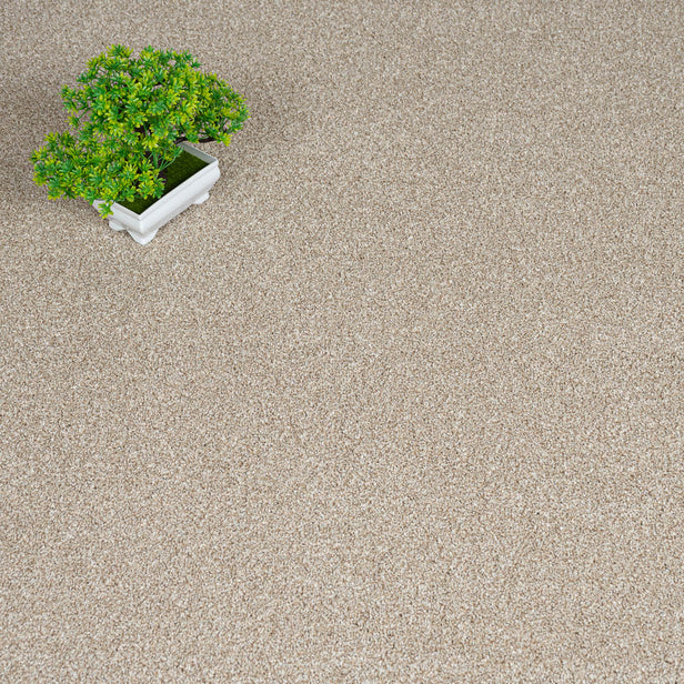 Urban Chic 07 Stainfree Rustique Saxony Carpet by Abingdon