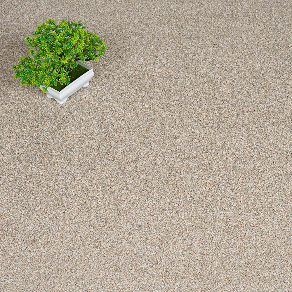Urban Chic 07 Stainfree Rustique Saxony Carpet | Online Carpets