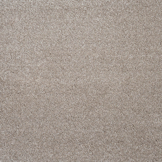 Vanilla 33 Centaurus Invictus Carpet