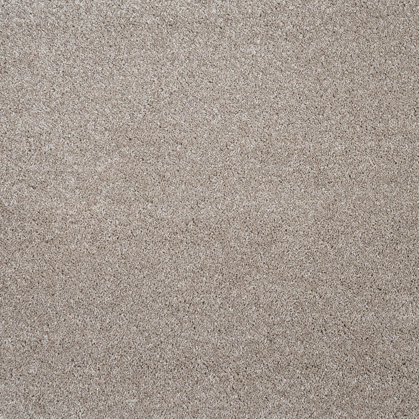 Vanilla 33 Centaurus Invictus Carpet