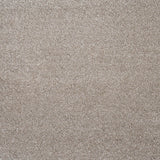 Vanilla 33 Centaurus Invictus Carpet