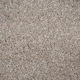 Vanilla 33 Centaurus Invictus Carpet