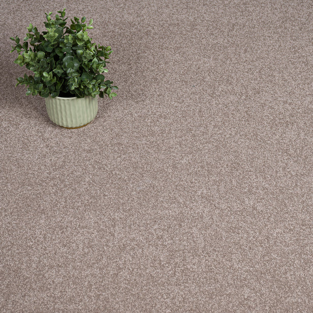 Walmersley Natural Linwood 40oz Twist Carpet by Cormar