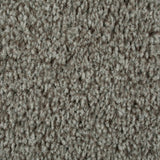 Walnut 964 Dublin Heather Twist Actionback Carpet Clearance