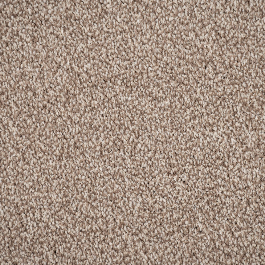 Warm Beige 673 Auckland Twist Carpet