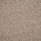 Warm Beige 673 Auckland Twist Carpet