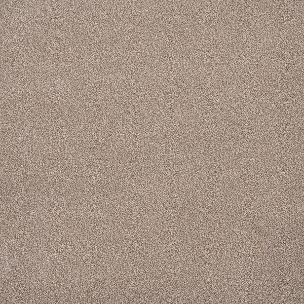 Warm Beige 673 Auckland Twist Carpet