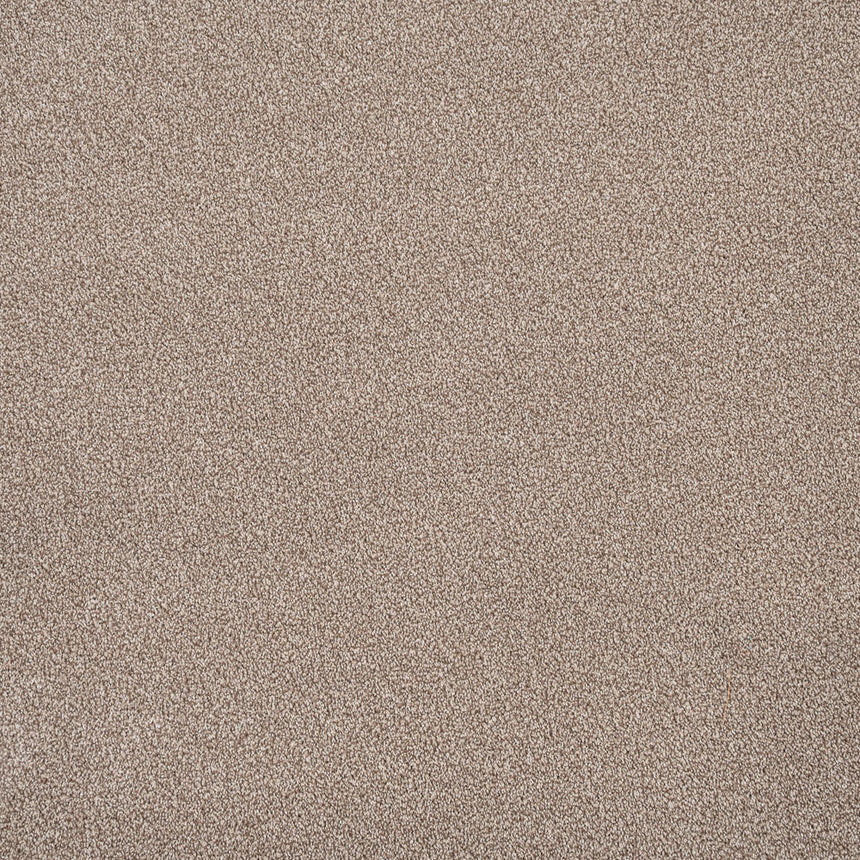 Warm Beige 673 Auckland Twist Carpet