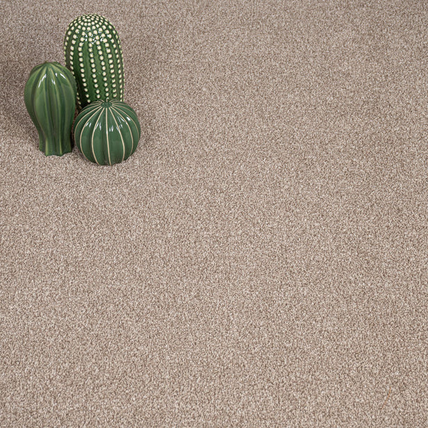 Warm Beige 673 Auckland Twist Carpet