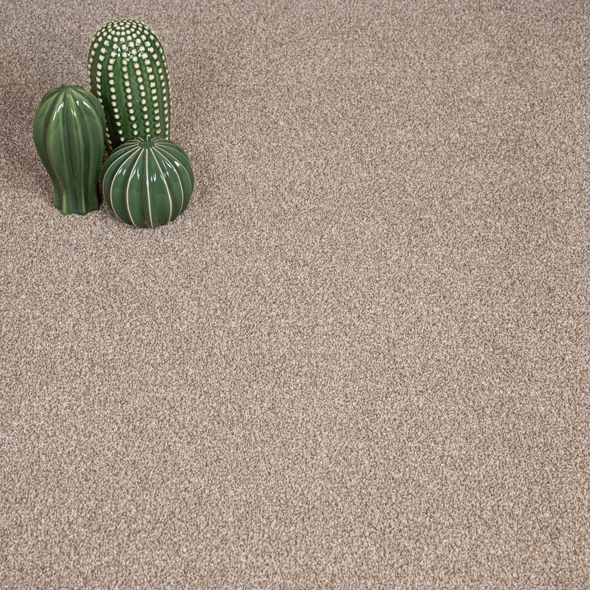 Warm Beige 673 Auckland Twist Carpet