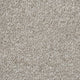 Warm Grey 90 Alps Twist Carpet