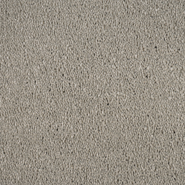 Warm Grey Moxie Saxony Carpet