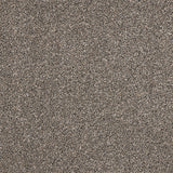 Stainfree Knightsbridge Berber Carpet by Abingdon