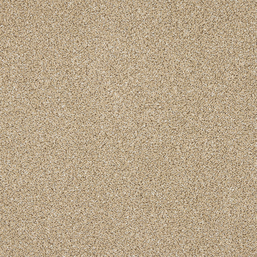 Stainfree Knightsbridge Berber Carpet by Abingdon