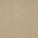 Stainfree Knightsbridge Berber Carpet by Abingdon
