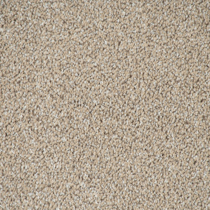 Wheat Mist Stainfree Knightsbridge Berber Carpet by Abingdon