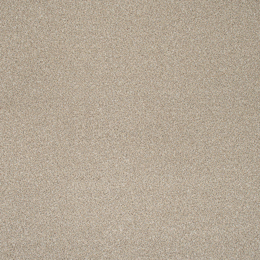 Wheat Mist Stainfree Knightsbridge Berber Carpet by Abingdon