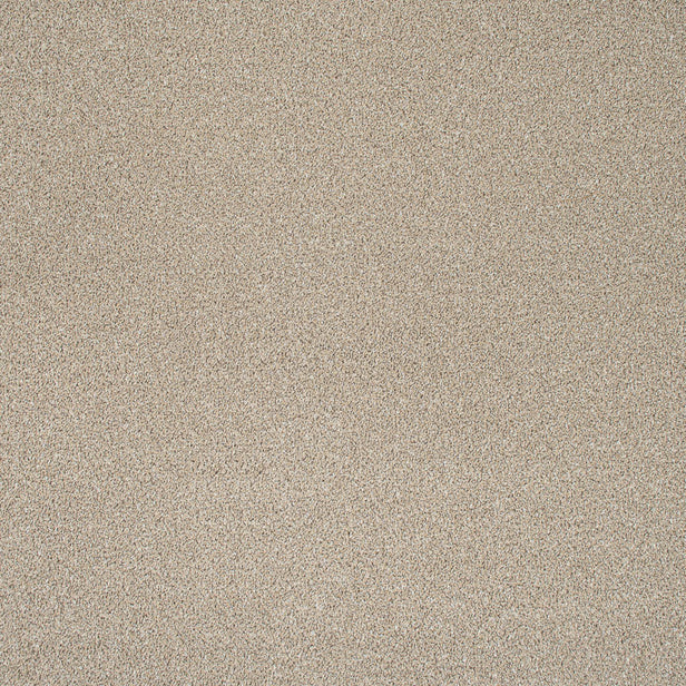 Wheat Mist Stainfree Knightsbridge Berber Carpet by Abingdon