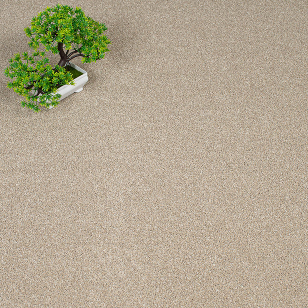 Wheat Mist Stainfree Knightsbridge Berber Carpet by Abingdon
