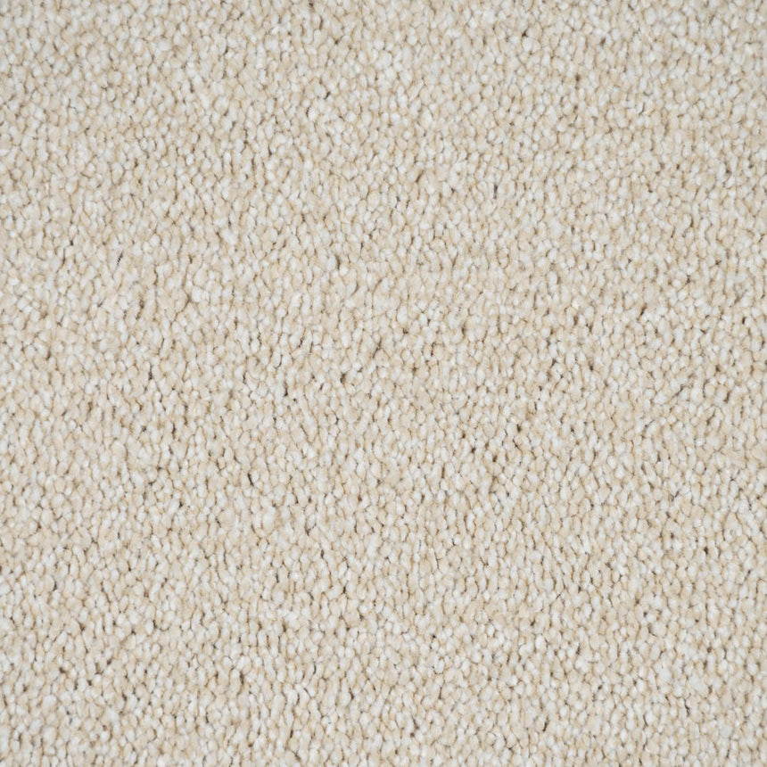 White Swan 03 Darius 50oz Invictus Carpet