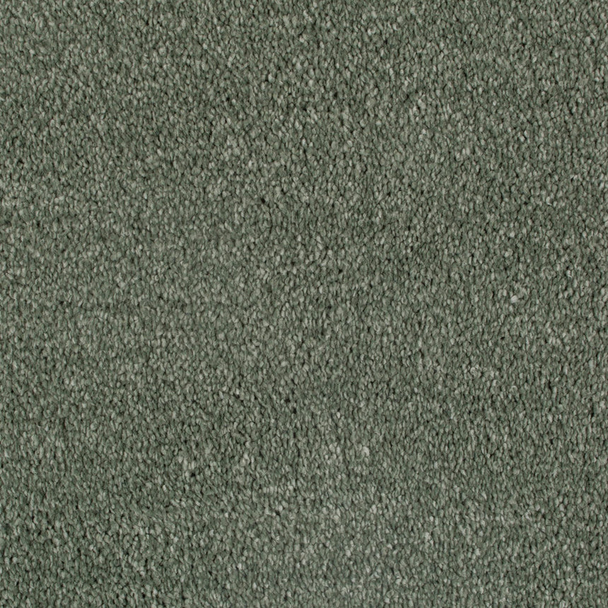 Willow 42 Serano Elite Intenza Carpet Remnant OnlineCarpets.co.uk