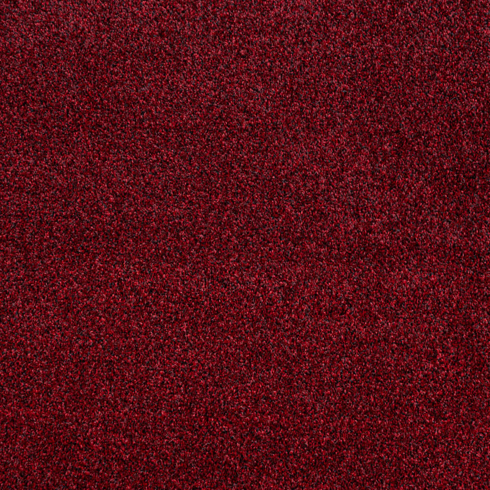 Wine Red Louisiana Saxony Carpet | Buy Louisiana Saxony Carpet Online ...