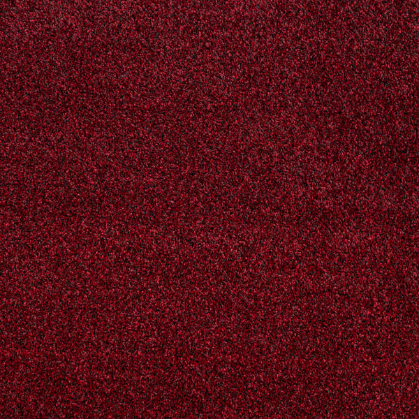 Louisiana Saxony Carpet
