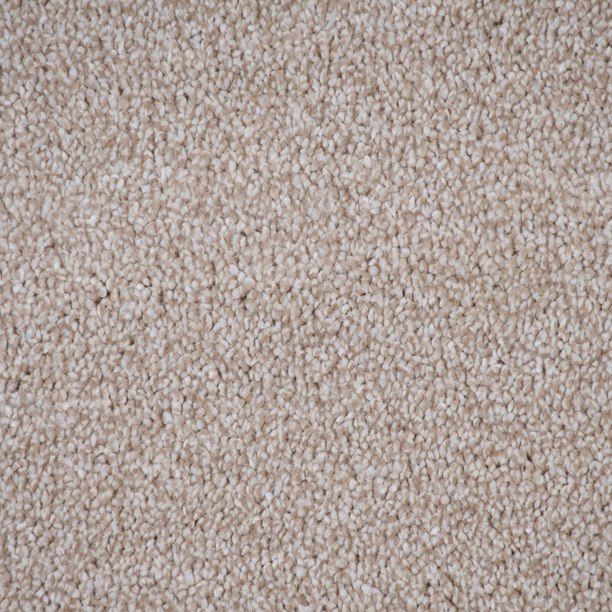 Ziggy 670 Soft Noble Saxony Carpet Clearance