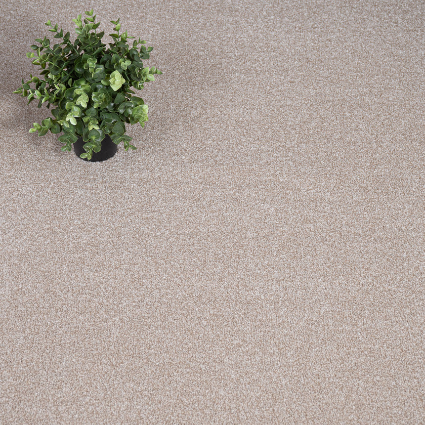 Ziggy 670 Soft Noble Saxony Feltback Carpet Clearance