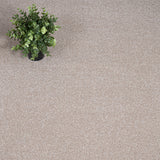 Ziggy 670 Soft Noble Saxony Feltback Carpet Clearance