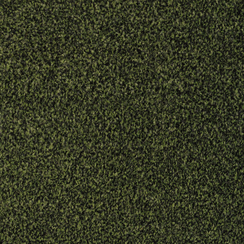 Amazon Green 226 Dublin Heathers Carpet
