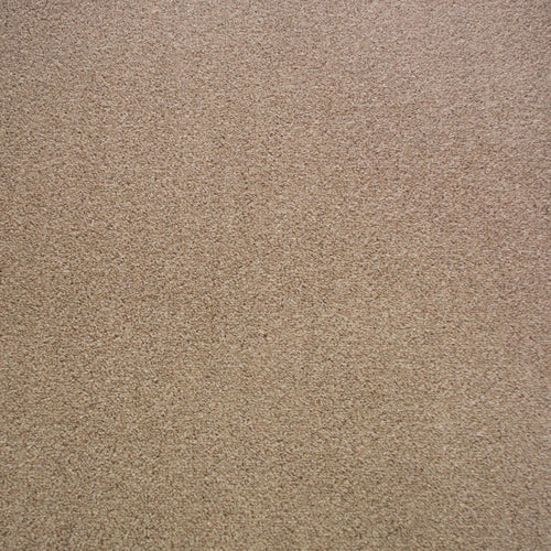 Moonlit 110 Dublin Heathers Carpet